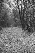 Scan-171103-0032.jpg