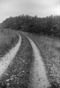 Scan-171103-0036.jpg