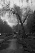 img006-113.jpg img006-113.jpg