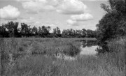 img030-1.jpg img030-1.jpg