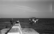 img1131.jpg img1131.jpg