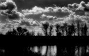 img237_1.jpg img237_1.jpg