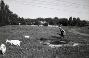 img256.jpg