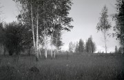 img349_1.jpg img349_1.jpg