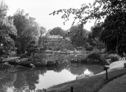 img406-333.jpg