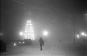 img423-222.jpg img423-222.jpg
