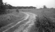 img4884.jpg