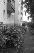 img531-222.jpg
