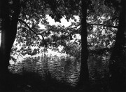 img649-111.jpg