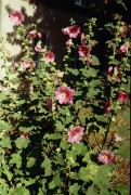 r001-00114.jpg r001-00114.jpg
