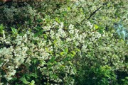 r001-00125.jpg r001-00125.jpg