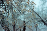 r001-00320.jpg r001-00320.jpg
