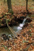 r001-00519.jpg