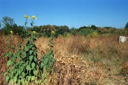 r001-00820.jpg r001-00820.jpg