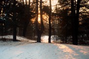 r001-013_1.jpg r001-013_1.jpg