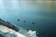 r001-01518.jpg r001-01518.jpg