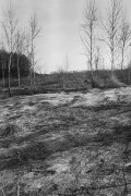 r001-01524.jpg