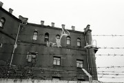 r001-0307.jpg