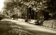 img816_m2.jpg
