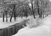 img928m.jpg
