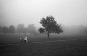img556w.jpg