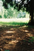 CNV000012.jpg
