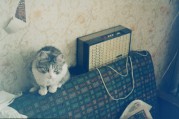 Untitled-47.jpg
