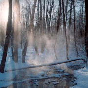 Pro800ZScan-170209-0003_copy.jpg