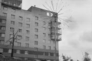 AA006.jpg
