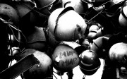 -20130725-012.jpg