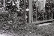 000038_32507_net.jpg 000038_32507_net.jpg