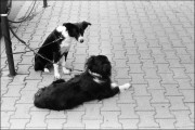 000051_32508_net.jpg