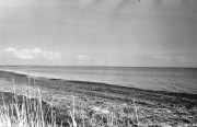 0487.jpg 0487.jpg