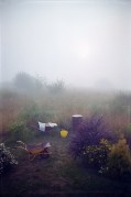 10-000064910024_.jpg