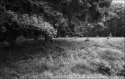 10617.jpg 10617.jpg