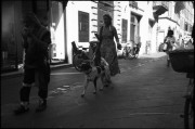 20120629_BES_HP5_RIMINI033.jpg
