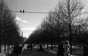 20130307_001.jpg