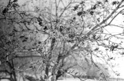 20150107.jpg