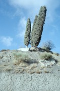2016-11-23-0042.jpg 2016-11-23-0042.jpg