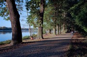 20181018-M6_Ektar_Summarit50_Elm28_VS_N_2018-10-18-0029.jpg 20181018-M6_Ektar_Summarit50_Elm28_VS_N_2018-10-18-0029.jpg