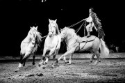 20190218-M7_Elmarit-M90_HP52019-02-18-0001_1600_DDX1_4_VS_N_1_YYYY-MM-DD-0015.jpg 20190218-M7_Elmarit-M90_HP52019-02-18-0001_1600_DDX1_4_VS_N_1_YYYY-MM-DD-0015.jpg