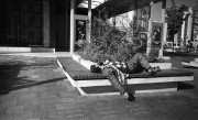 20201112-I22-A125-003.jpg