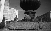 20201112-I22-A125-005.jpg