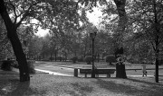 20201112-KievII-A125_-024.jpg