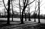 20210308-M6_Cron50_APX100alt_Rodinal_1-25_8min_kipp_VS_N_1_2021-03-03-0026.jpg