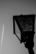 20250319-L1002415-2.jpg