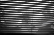 20_00014.jpg