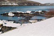 21628.jpg 21628.jpg