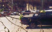 27A_000301.jpg