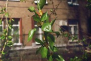 28A_000311.jpg